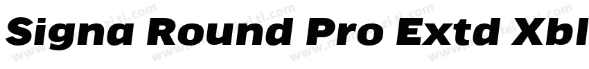 Signa Round Pro Extd Xblack Italic字体转换